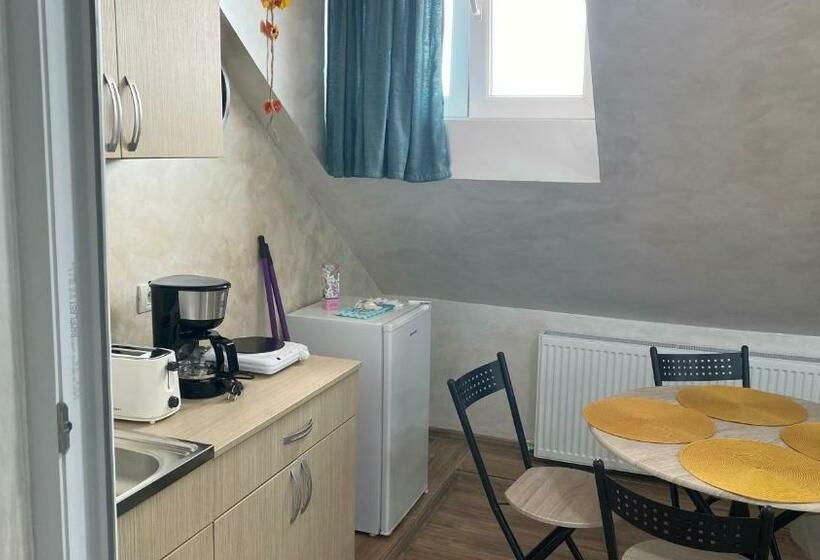 Pensão Garsoniera în Vila Lavinia