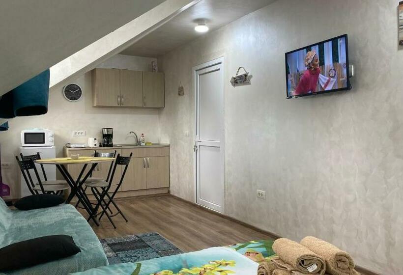 Pensão Garsoniera în Vila Lavinia