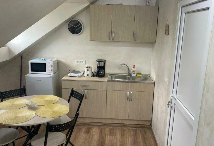 Pensão Garsoniera în Vila Lavinia