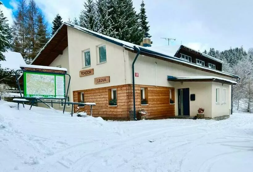 Pension Lesná