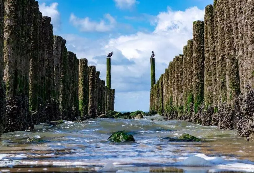 Aamiaismajoitus (B&B) Luxe Kamer Aan Zee