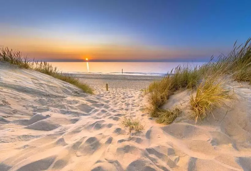 Aamiaismajoitus (B&B) Luxe Kamer Aan Zee