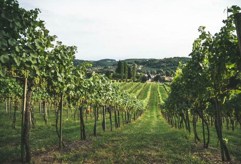 민박 Wein & Gästehof Erlacher