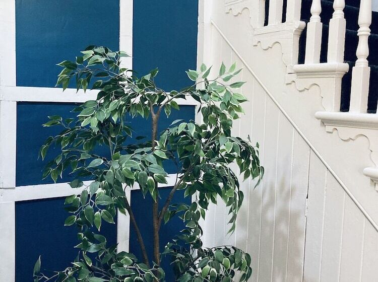 펜션 Abbeyfield Guesthouse