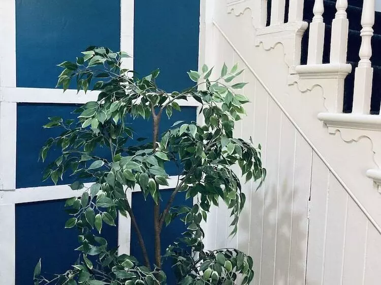 Majatalo Abbeyfield Guesthouse