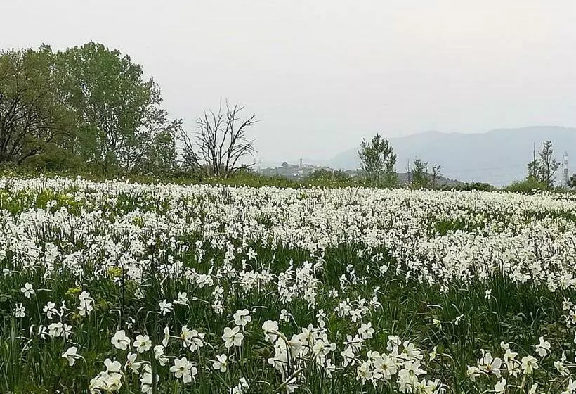 Majatalo Colonica Il Picchio Verde