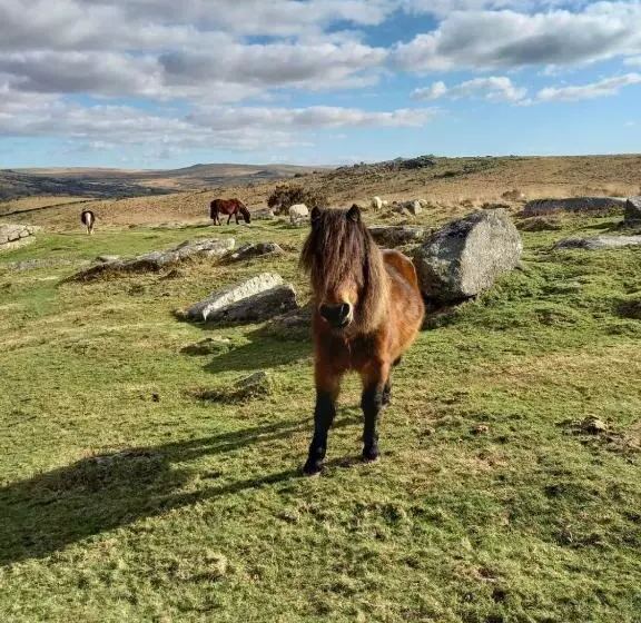 Alberg Dartmoor Inn