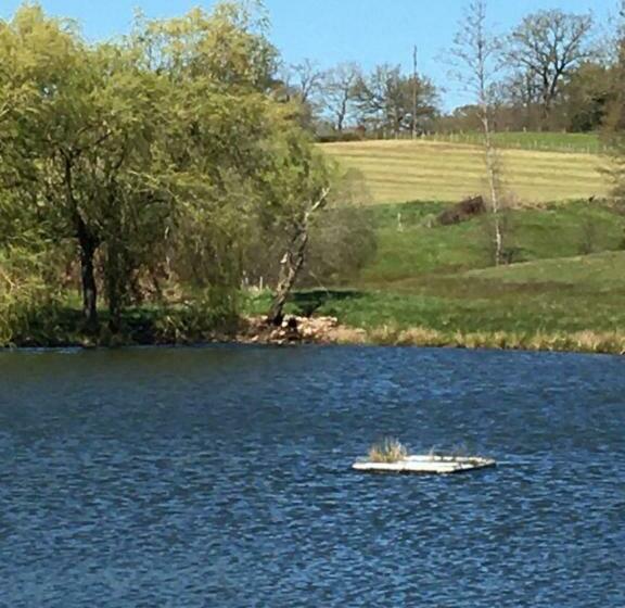 مبيت وإفطار Lakeside House Ei