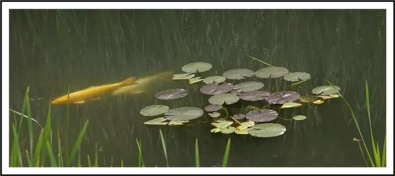 Aamiaismajoitus (B&B) Les Chambres De Liane