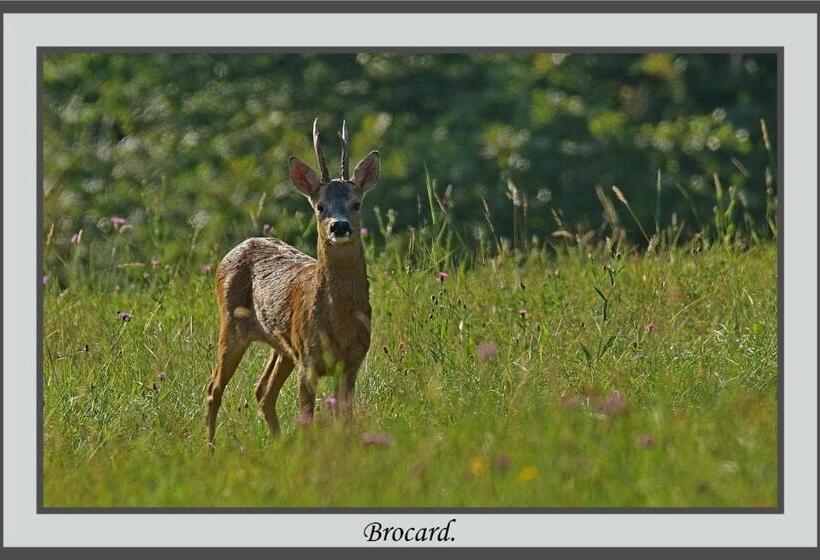 住宿加早餐  Les Chambres De Liane