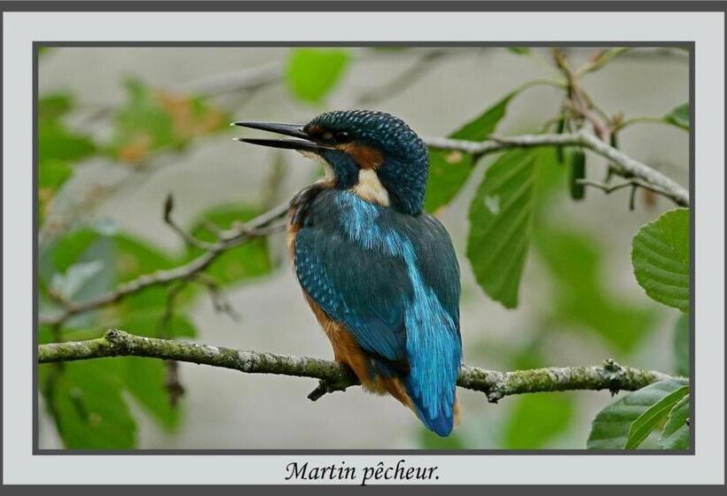 住宿加早餐  Les Chambres De Liane