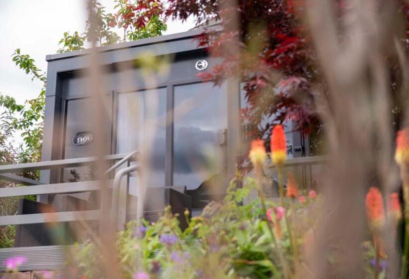 膳宿费 Braeside Guest House, Loch Lomond