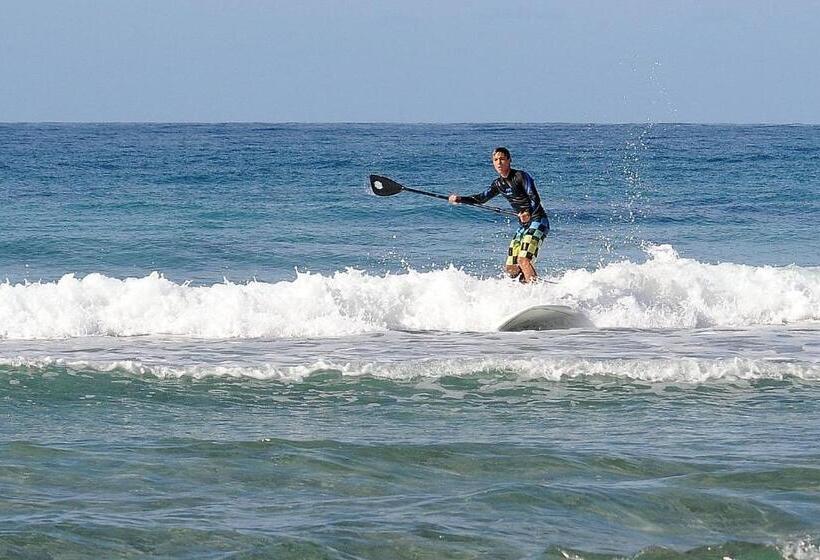 פנסיון Camere O Appartamento Intero In Locazione In Pittinuri