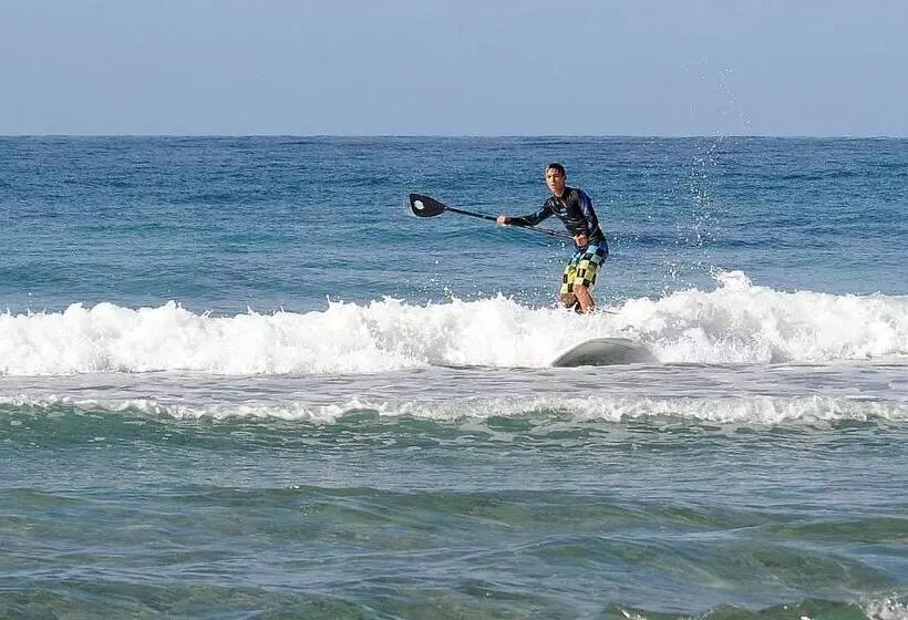 ペンション Camere O Appartamento Intero In Locazione In Pittinuri