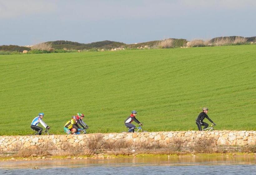 פנסיון Camere O Appartamento Intero In Locazione In Pittinuri