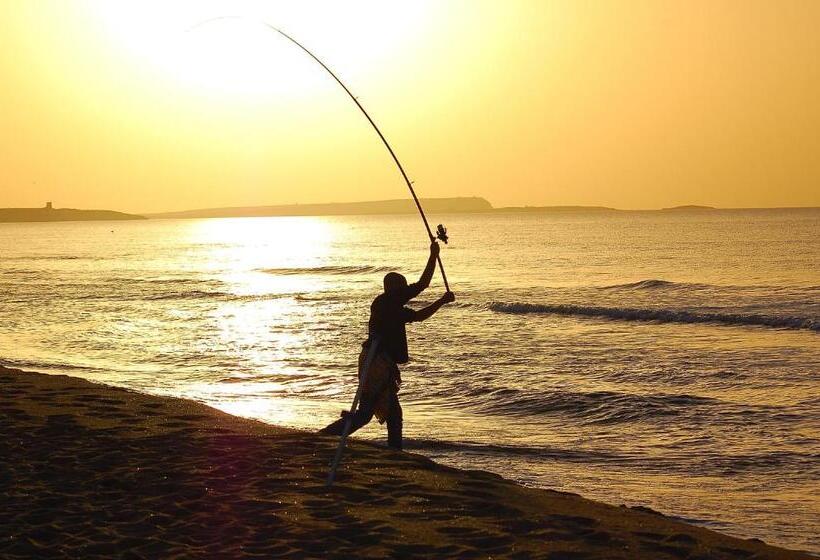 פנסיון Camere O Appartamento Intero In Locazione In Pittinuri