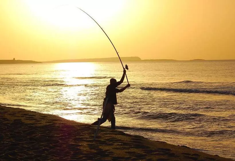 ペンション Camere O Appartamento Intero In Locazione In Pittinuri