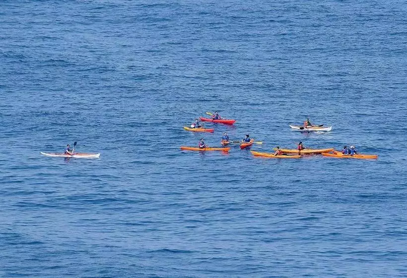 ペンション Camere O Appartamento Intero In Locazione In Pittinuri