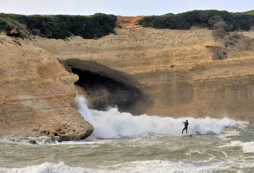 ペンション Camere O Appartamento Intero In Locazione In Pittinuri