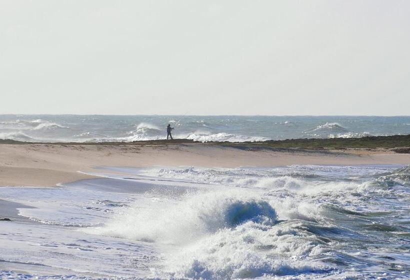 פנסיון Camere O Appartamento Intero In Locazione In Pittinuri