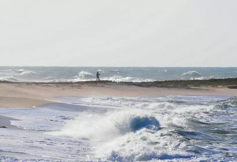 ペンション Camere O Appartamento Intero In Locazione In Pittinuri