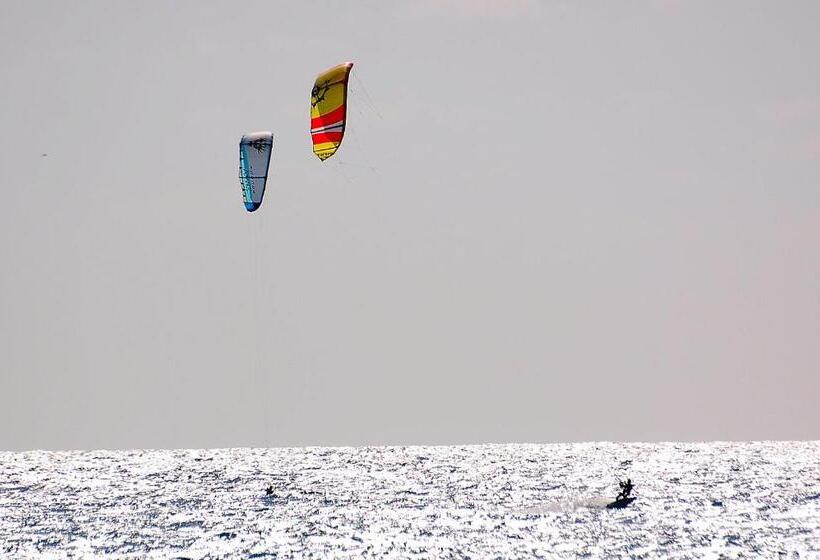 פנסיון Camere O Appartamento Intero In Locazione In Pittinuri