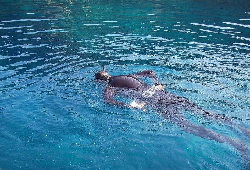 פנסיון Camere O Appartamento Intero In Locazione In Pittinuri