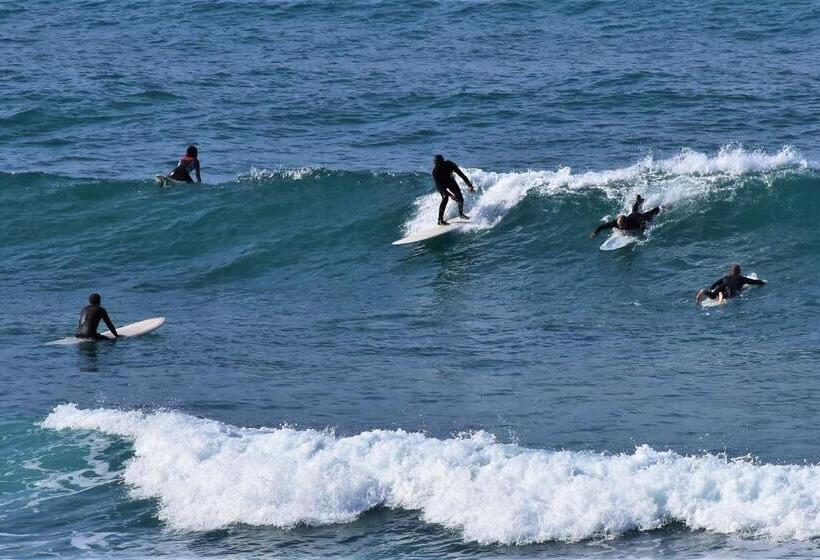 פנסיון Camere O Appartamento Intero In Locazione In Pittinuri