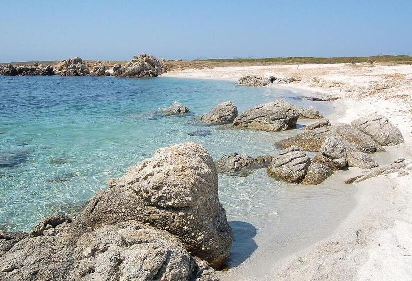 פנסיון Camere O Appartamento Intero In Locazione In Pittinuri