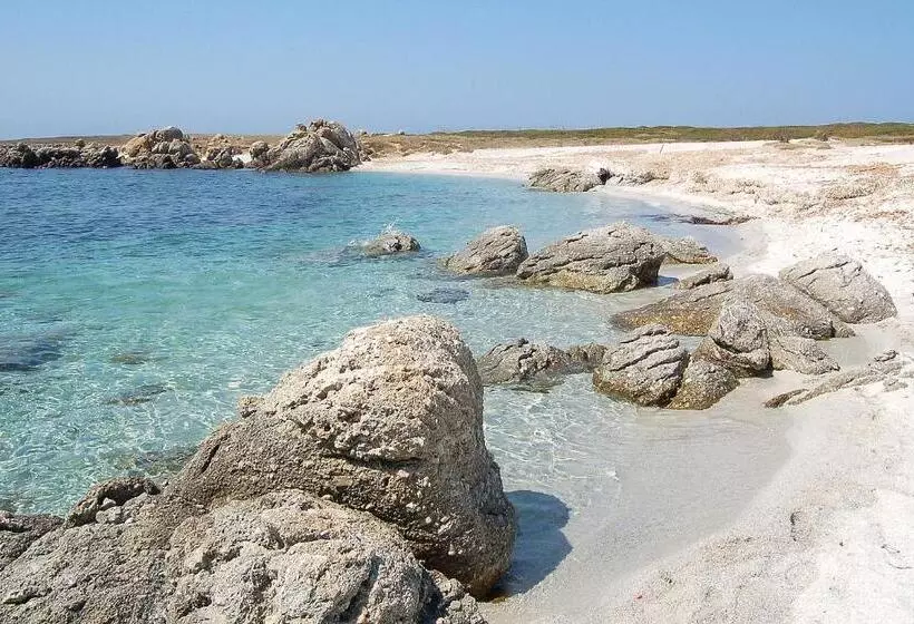 ペンション Camere O Appartamento Intero In Locazione In Pittinuri