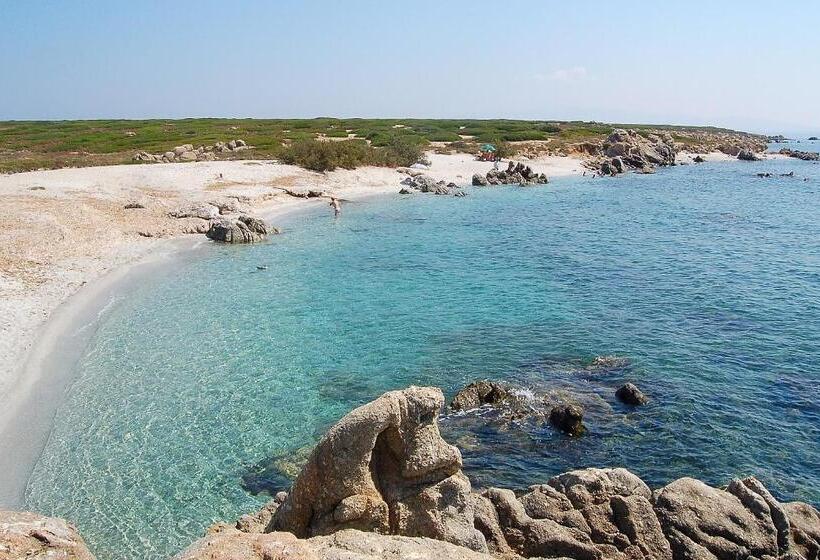 פנסיון Camere O Appartamento Intero In Locazione In Pittinuri