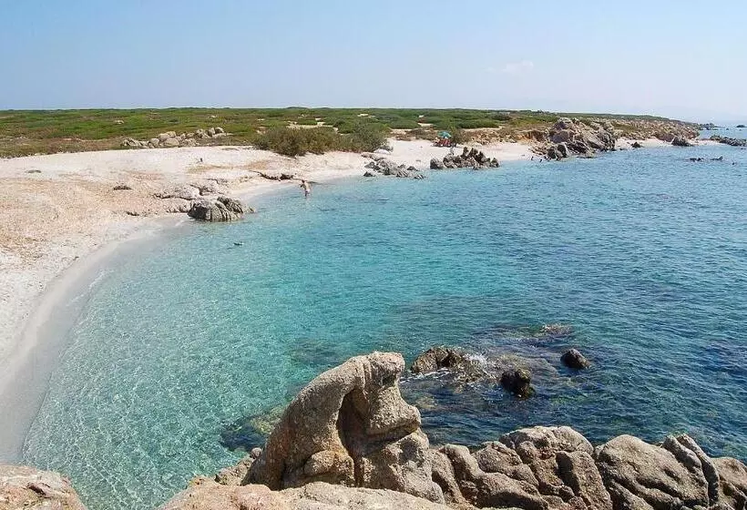 ペンション Camere O Appartamento Intero In Locazione In Pittinuri