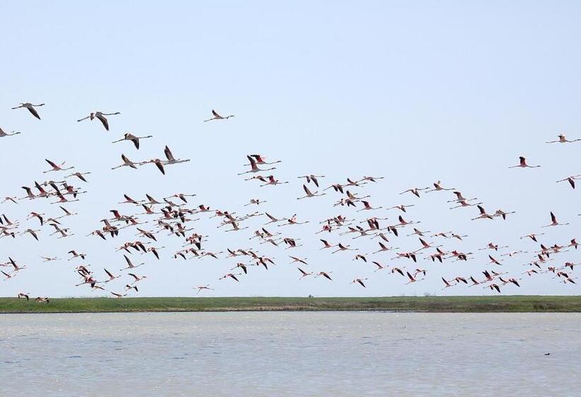 פנסיון Camere O Appartamento Intero In Locazione In Pittinuri