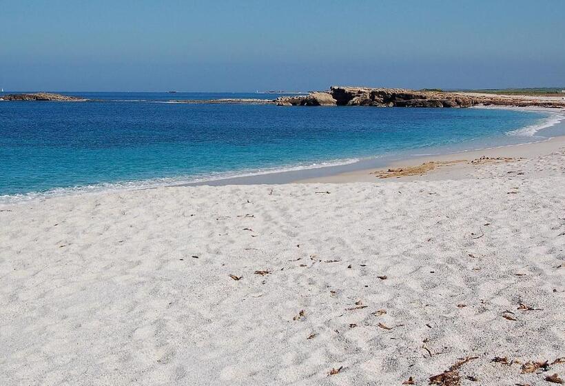 פנסיון Camere O Appartamento Intero In Locazione In Pittinuri