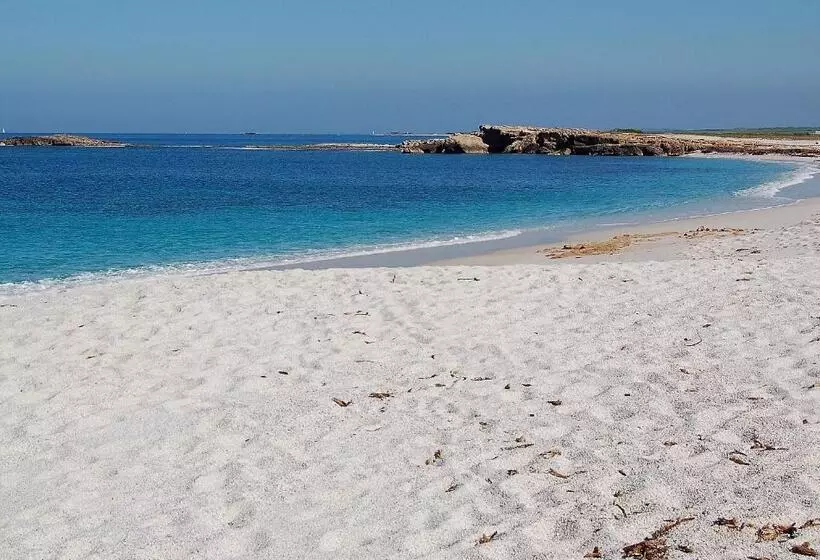 ペンション Camere O Appartamento Intero In Locazione In Pittinuri