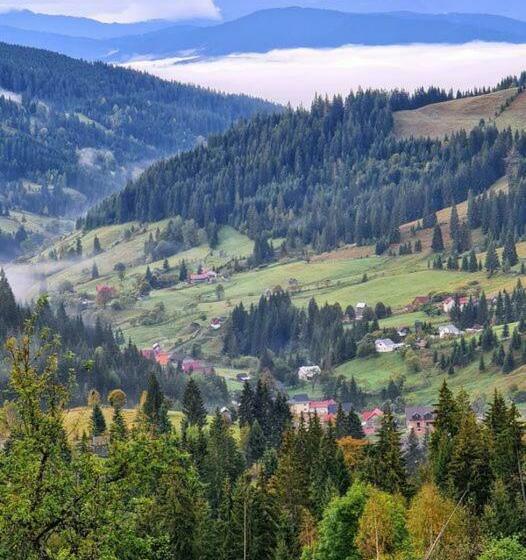 Пансион Casa Agroturistica Tarancuta Din Vatra Moldovitei
