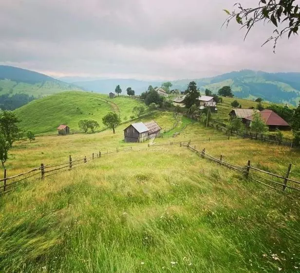پانسیون Casa Agroturistica Tarancuta Din Vatra Moldovitei