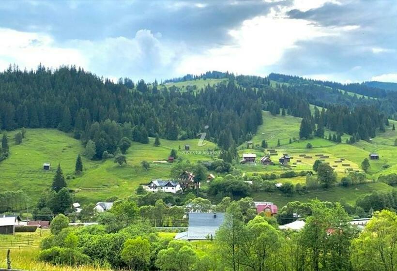 Пансион Casa Agroturistica Tarancuta Din Vatra Moldovitei