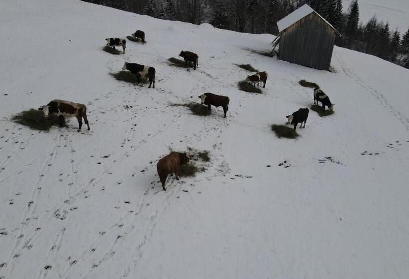 Пансион Casa Agroturistica Tarancuta Din Vatra Moldovitei