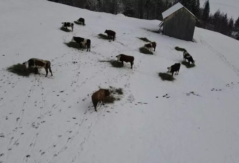 پانسیون Casa Agroturistica Tarancuta Din Vatra Moldovitei