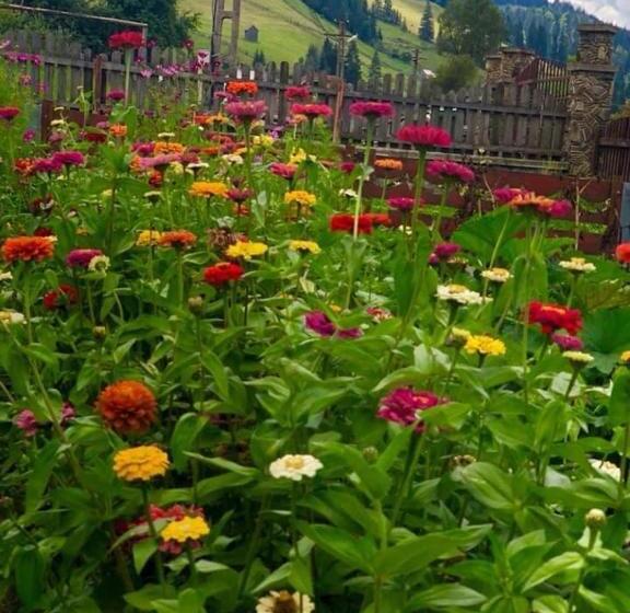 Пансион Casa Agroturistica Tarancuta Din Vatra Moldovitei