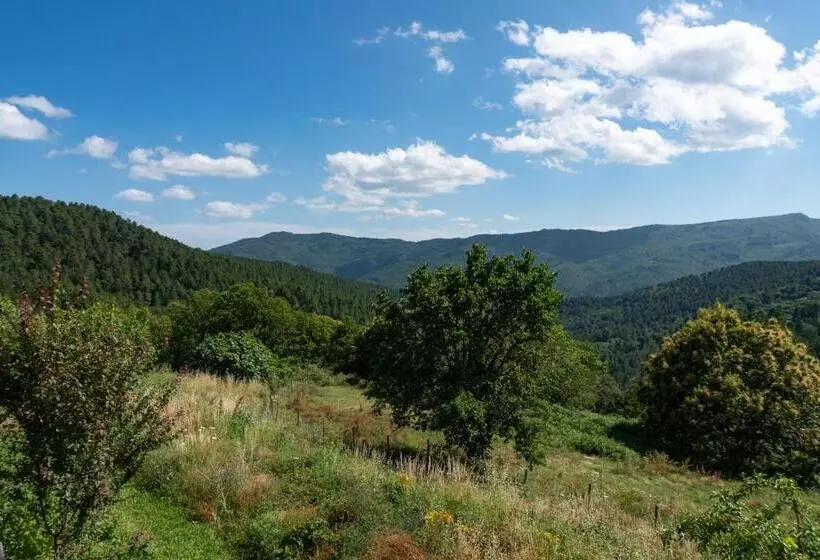 ペンション Lou Rey éco Hameau   Gîte, Chambre D Hôtes & Table D Hôtes