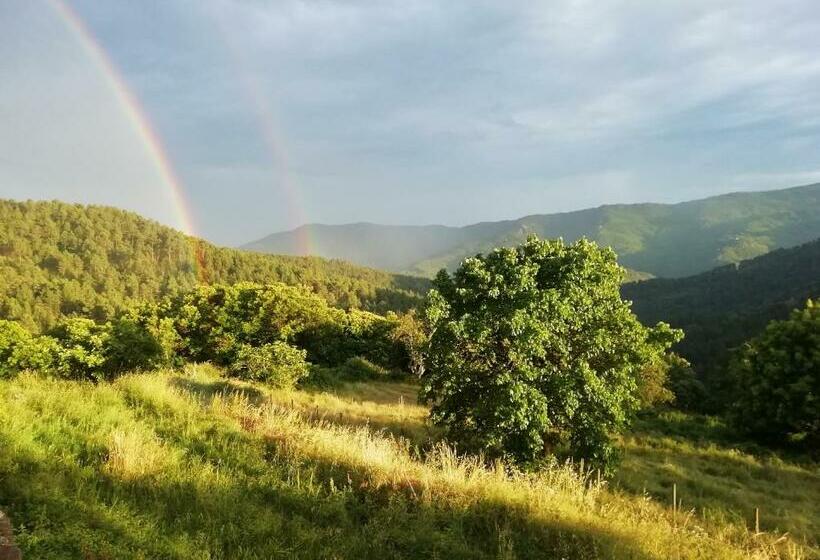 Pension Lou Rey éco Hameau   Gîte, Chambre D Hôtes & Table D Hôtes