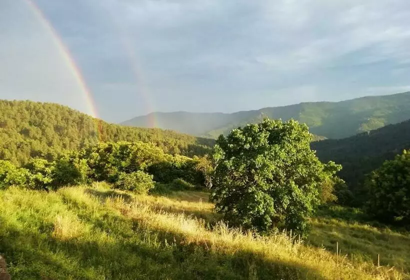 ペンション Lou Rey éco Hameau   Gîte, Chambre D Hôtes & Table D Hôtes