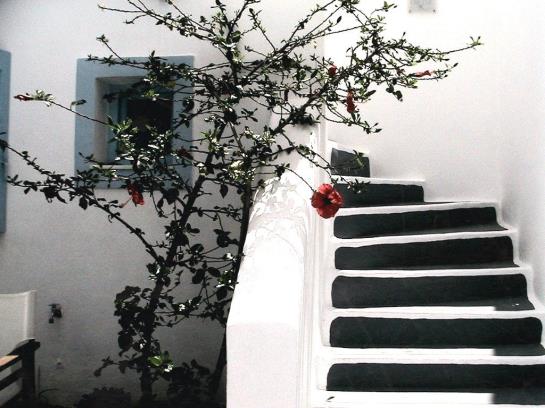 酒店 Amelie Santorini