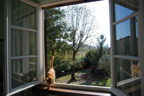 Bed and Breakfast Dreamers 