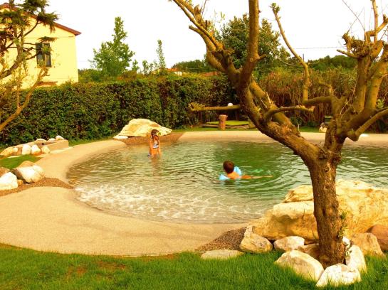 Bed and Breakfast Dreamers 