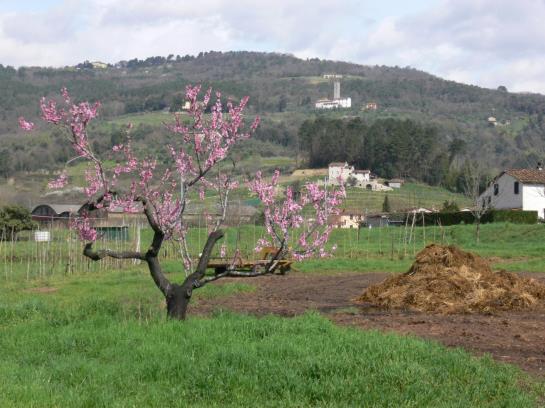 Bed and Breakfast Dreamers 