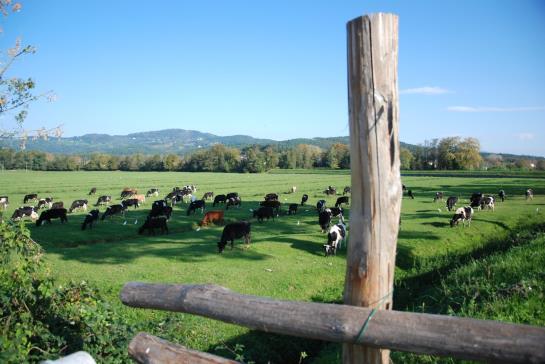 Bed and Breakfast Dreamers 