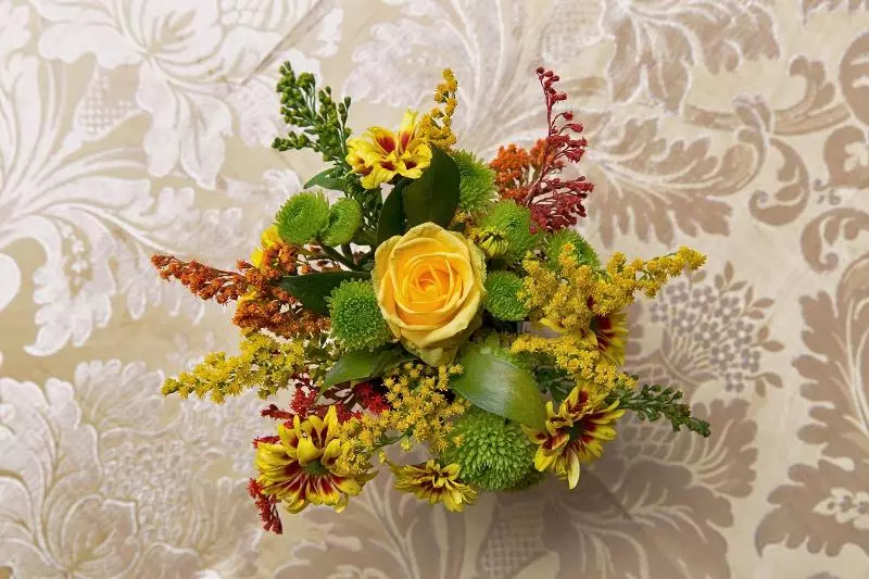 Majatalo Alla Vite Dorata